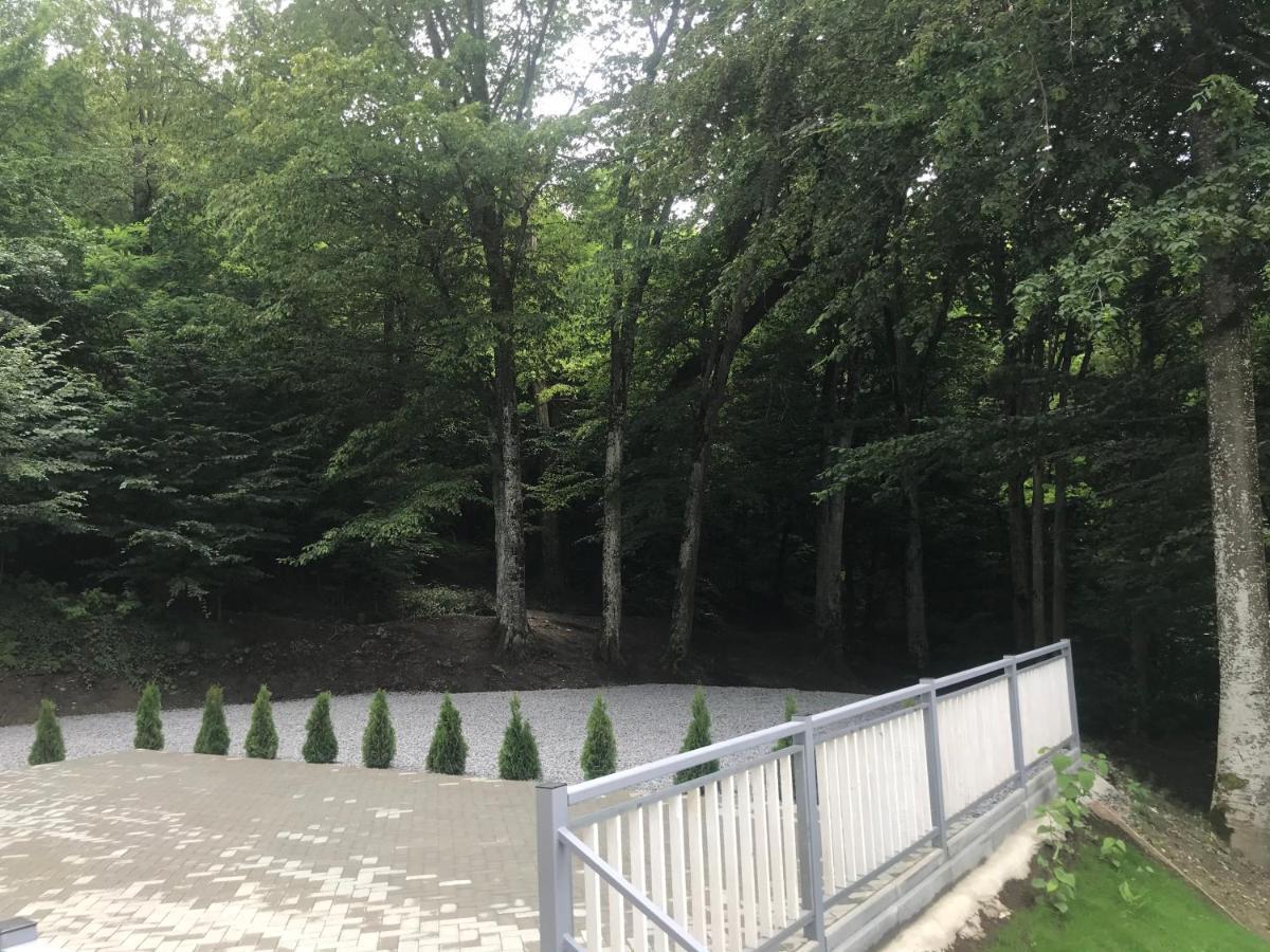 Vila Niki Sovata Dış mekan fotoğraf